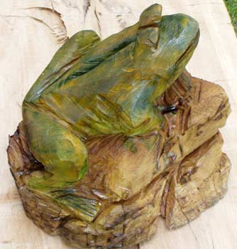 Green Frog on Rocks